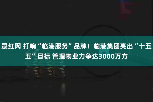 晟红网 打响“临港服务”品牌！临港集团亮出“十五五”目标 管理物业力争达3000万方