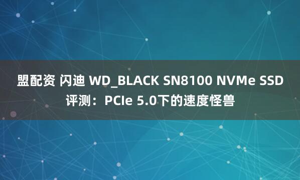 盟配资 闪迪 WD_BLACK SN8100 NVMe SSD评测：PCIe 5.0下的速度怪兽